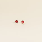 Load image into Gallery viewer, Topo Grande Rojo A1463
